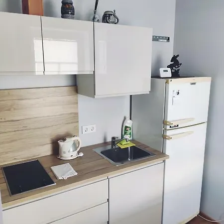 Apartment Old Slabada Kaunas